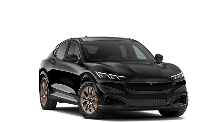 Mustang Mach-E® vehicle